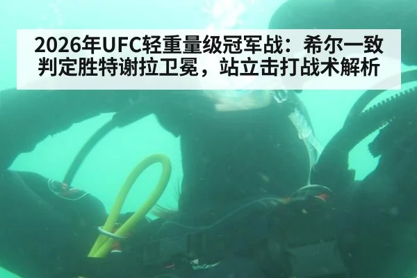 2026年UFC轻重量级冠军战：希尔一致判定胜特谢拉卫冕，站立击打战术解析