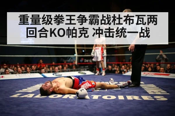 重量级拳王争霸战杜布瓦两回合KO帕克 冲击统一战